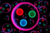 The Large Hadron Collider Discovers Antimatter Behaving Oddly in New Class of Particles