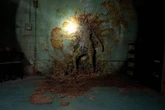 The Last of Us Science Adviser Says COVID Changed How We View Zombie Stories