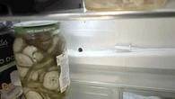 Znajdziesz go w kaĹźdej zamraĹźarce i lodĂłwce. ChoÄ jest niewielki, peĹni waĹźnÄ
 rolÄ