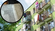 Tylko u nas"Sąsiadka ma urojenia, że pies defekuje na klatce. Chodzi z wybielaczem i polewa schody"