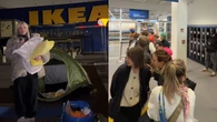 SzaĹ na nowÄ kolekcjÄ IKEA. Namioty pod sklepem, tĹumy i puste pĂłĹki. "Smutny obrazek"