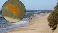 WyglÄda jak "baĹtyckie zĹoto", ale jest bardzo groĹşny. Fale znĂłw wyrzuciĹy go na brzeg