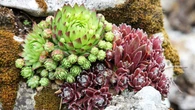 PoĹudniowa rabata nie musi byÄ problemem. Wszystko zaleĹźy od jednego wyboru