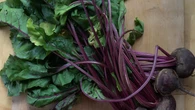 Wspiera serce i jelita. Ale ten polski superfood nie jest dla kaĹźdego. Komu moĹźe zaszkodziÄ?