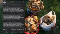 "Rezerwacje grzybĂłw" podbijajÄ lokalne grupy. "ProszÄ nie zbieraÄ". Jest jeden szkopuĹ