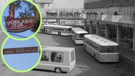Podlasie w USA, czyli "chicagowska polska wioska". "Babcia opowiada, jak sprzÄtaĹa ofisy"