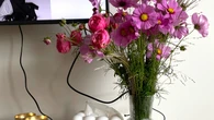 Eksperci wskazali 10 najtrwalszych kwiatĂłw do wazonu. CieszÄ oko nawet 42 dni