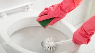 WrzuÄ do toalety dwa skĹadniki z kuchni. Zabrudzenia zniknÄ szybciej niĹź po uĹźyciu chemii