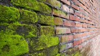 Spryskaj ścianę i zaczekaj, aż wyschnie. Domowa mikstura wyżre mech z elewacji na dobre