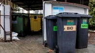 Gdzie wyrzucić ziemię z doniczek? Wcale nie do bioodpadów. Wiele osób wybiera zły kosz