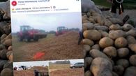 Afera jak u Barei. Przez internetowy fake news ukradli mu 150 ton ziemniakĂłw