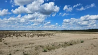 "Polska Sahara" hipnotyzuje krajobrazem. Fatamorgana i piaskowe burze były tu normą