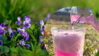 Zrywamy je odruchowo. Nie wiemy, Ĺźe kryjÄ kulinarny sekret. "Nieziemski aromat"