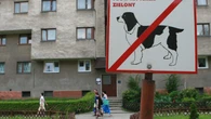 WspĂłlnota zakazaĹa spacerĂłw z psami pod blokiem. Co na to prawo? "SamozwaĹczy szeryfowie"
