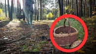 To borowik-gigant. Pani Olga nie zmieĹciĹa go w koszyku. "WaĹźyĹ 1,70 kg"