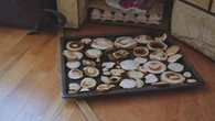 Grzyby gotowe w 2 godziny? ChrupiÄce i aromatyczne bez suszarki i piekarnika