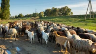 Tanie bilety lotnicze. A na miejscu? Chleb za 1 zł, kawa za 4
