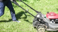 Nie wyrzucaj trawy. WiÄkszoĹÄ PolakĂłw nie wie, Ĺźe to darmowy skarb. Co to znaczy?