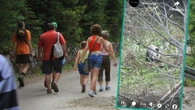 Wypatrzył go na tatrzańskim szlaku. Wszystko nagrał. "Ciekawe przeżycie"