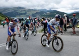 Dantejskie sceny na Tour de France. O włos od tragedii. Sprawca usłyszał wyrok
