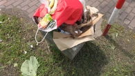 Uliczne kosze pod lupÄ. Miasto zamontowaĹo specjalne nakĹadki. Wysokie kary dla mieszkaĹcĂłw