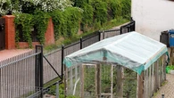 Co na szkodniki w szklarni? One nie pryskają, one zjadają. "Zatrudnij" naturalnych sprzymierzeńców