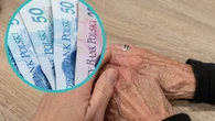 Co z rentą wdowią? Dziemianowicz-Bąk uspokaja. Spotkała się z Hołownią. "Mam deklarację"