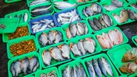 PoĹudnie Europy jÄ uwielbia, w Polsce wciÄĹź jest niszowa. To jedna z najzdrowszych ryb Ĺwiata