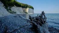 Klify i prastare drzewa wpisane na listę UNESCO. 130 km od granicy zajdziesz niezwykły park