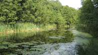 To nie Mazury. Raj dla fanów plażowania i żeglarstwa znajdziesz pod Poznaniem. Idealny na weekend