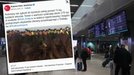 15 kg wĹosĂłw za 270 tys. zĹ. Nietypowy "bagaĹź" na lotnisku w Krakowie