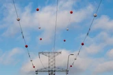 To nie ozdoba ani balony. Za kule na liniach wysokiego napięcia wdzięczne są nie tylko ptaki