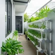 4 Inspirasi Kebun Sayur Belakang Rumah, dari Pot Hingga Hidroponik Modern