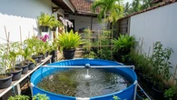 5 Desain Kolam Bundar untuk Budidaya Udang yang Hemat Tempat dan Produktif