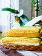 Kaparak, Camilan dari Jagung Sangrai Oleh-Oleh Khas Sumba