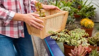 3 Trik Container Gardening yang Bikin Patio Kecil Terlihat Lebih Mewah
