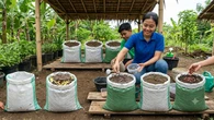 5 Ide Ternak Belut dalam Karung untuk Pemula yang Minim Modal, Praktis dan Mudah Dicoba