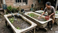 Cara Ternak Belut di Bak Mandi Rusak, Solusi Usaha Sederhana Modal Kecil untuk Pemula