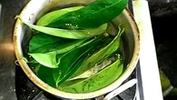 Kolesterol Sering Diam-Diam Naik? Ini Rebusan Daun Sirsak yang Bikin Darah Lebih Bersih