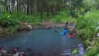 Kedung Biru di Tengah Hutan Pinus, Hidden Gem di Sempu Banyuwangi