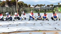 Pertamina Berdayakan Desa Rantau Dedap Muara Enim: Dari Energi Bersih hingga Wisata Edukas...