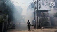 DBD di Indonesia Mengganas, Vaksinasi Jadi Senjata Bagi Dunia Melawan Demam Berdarah Dengu...