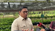 Wamentan Buka-Bukaan Alasan TNI-Polri Ikut Garap Lahan Sawah
