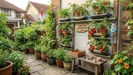 13 Jenis Tanaman Pangan yang Mudah Tumbuh di Botol Bekas, Solusi Berkebun Hemat