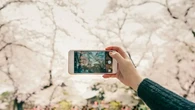 10 Tips Foto Aesthetic dengan Smartphone, Hasilnya Nggak Kalah Bagus Sama Profesional