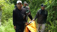 Catatan Kelam 5 Warga Tewas Diterkam Harimau di TNBBS Sejak 2024