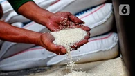 Produksi Beras Indonesia Diproyeksi Tembus 31 Juta Ton pada Oktober 2025
