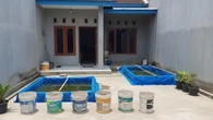 8 Cara Budidaya Lele di Halaman Full Cor, Tetap Bisa Tumbuh dan Panen Maksimal