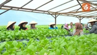 Usung Konsep Agrotechnopark, Desa Batulicin Irigasi Berbenah Menuju Desa Wisata Nasional