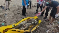 Mayat Perempuan Misterius Ditemukan di Pantai Alas Purwo, Tubuh Membusuk dan Ada Luka Robe...